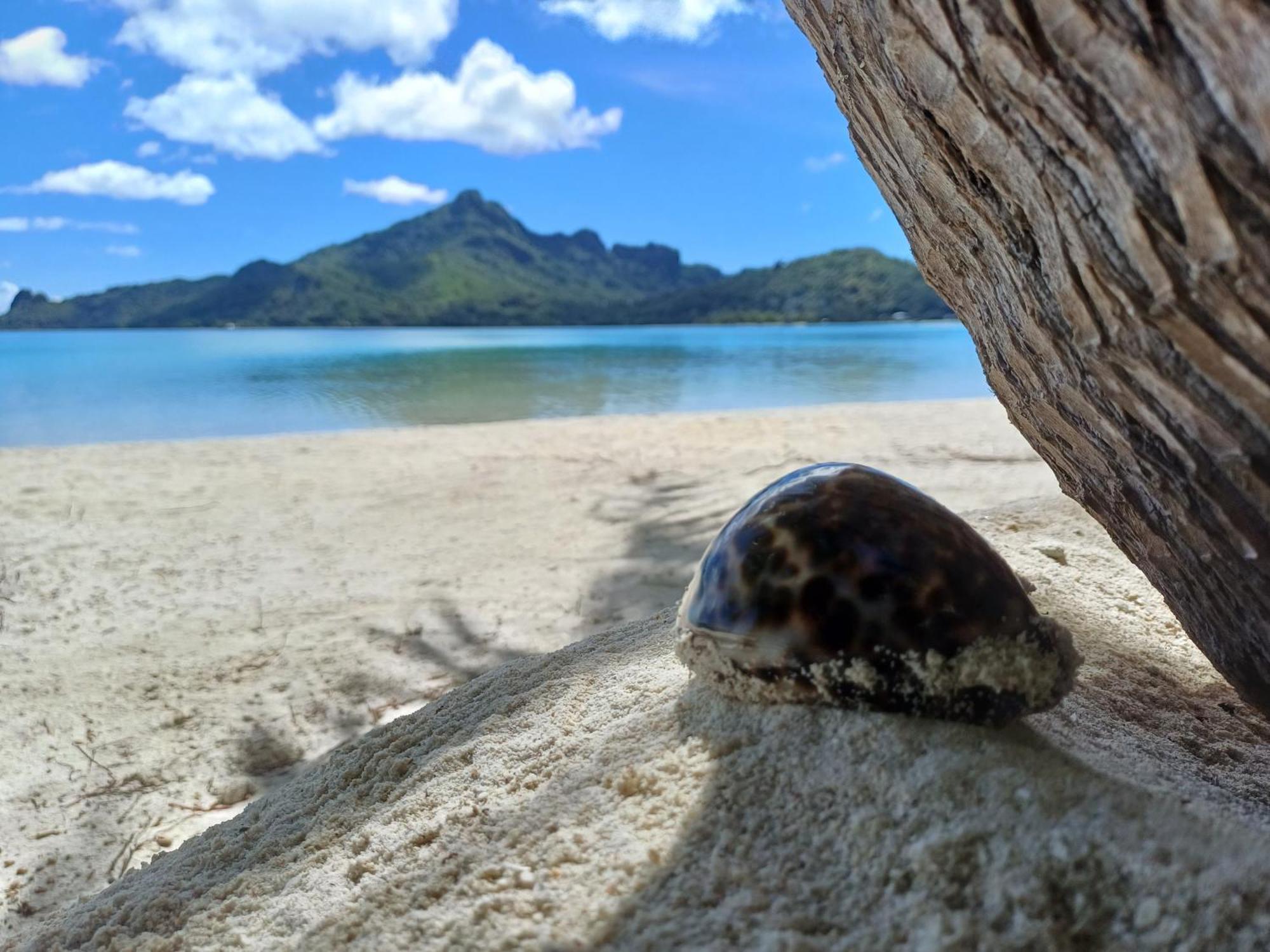 Poemanahere Island Camping A Maupiti Te-Fare-Arii Ngoại thất bức ảnh