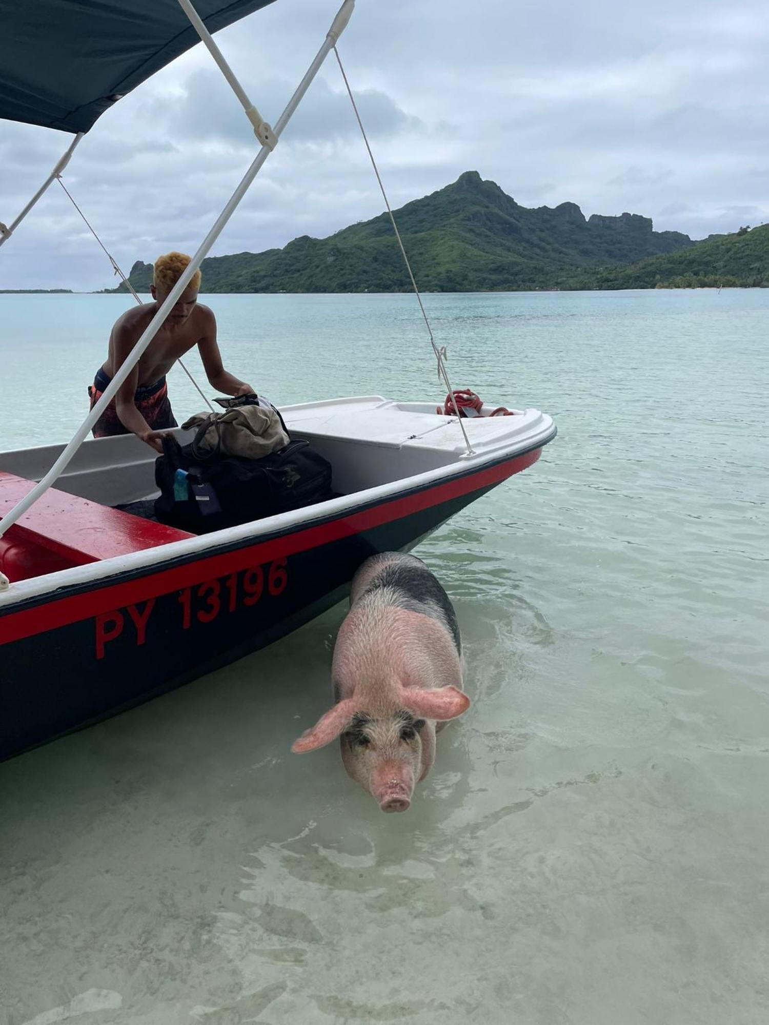 Poemanahere Island Camping A Maupiti Te-Fare-Arii Ngoại thất bức ảnh