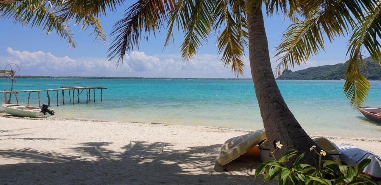 Poemanahere Island Camping A Maupiti Te-Fare-Arii Ngoại thất bức ảnh