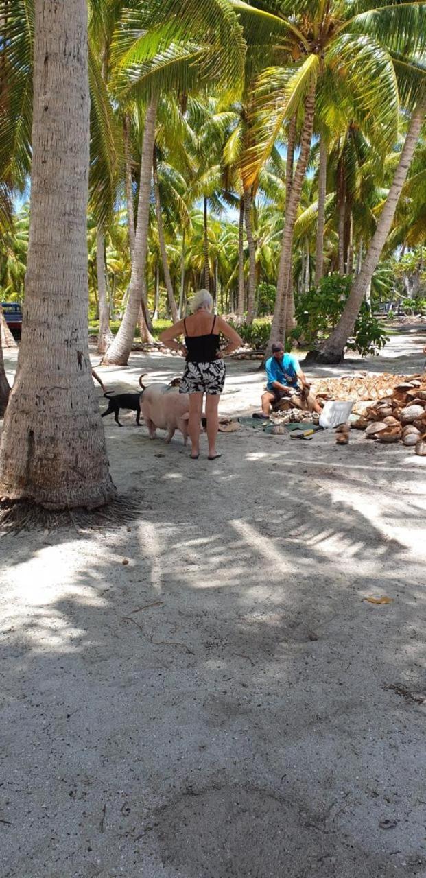 Poemanahere Island Camping A Maupiti Te-Fare-Arii Ngoại thất bức ảnh